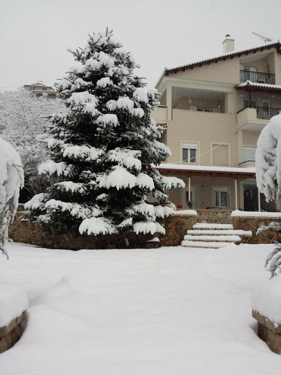 Xenonas Ioanni Parcha Hotel Levídhion Exterior foto